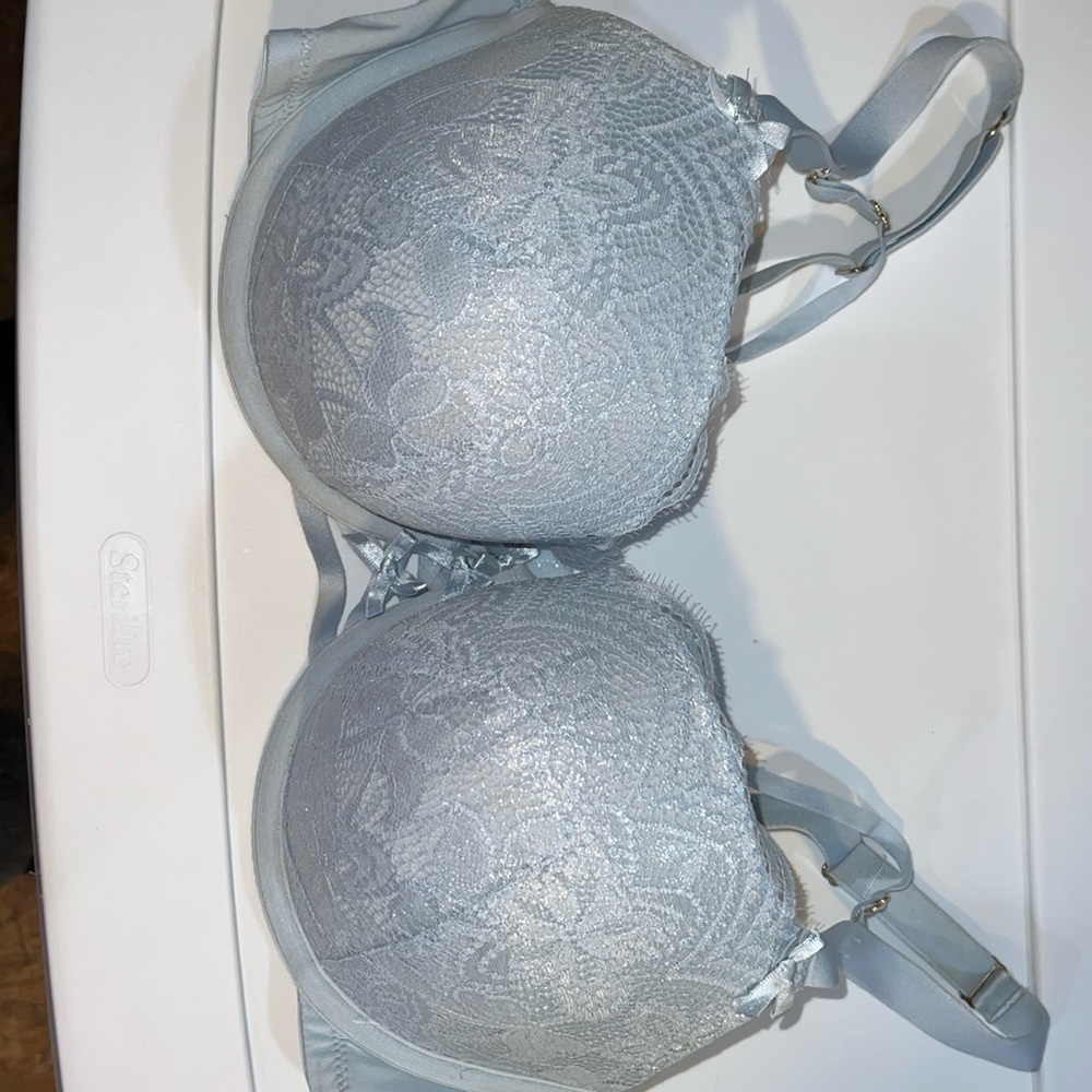 Lane Bryant Bra - Picture 1 of 6